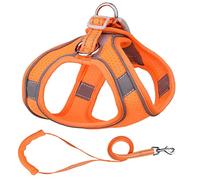 Reflective Vest Reflective Dog Harness Leash Set Nylon Pet Cat Harness Dog Leash Adjustable Pet Harnesses Vest For Puppy Medium Dog Pet Supplies Reflective Running Vest (Color : Orange, Size : XXXS