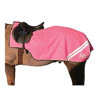 Reflector Mesh Exercise Sheet by Hy Equestrian - Pink - 4'9