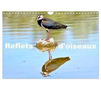 Reflets d'oiseaux (Calendrier mural 2027 DIN A4 vertical), CALVENDO calendrier mensuel: Quand les oiseaux se reflètent dans l'eau