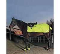 Reflex Hind Exercise Sheet - Pony - Neon Yellow
