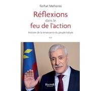 Réflexions dans le feu de l'action: Histoire de la renaissance du peuple kabyle
