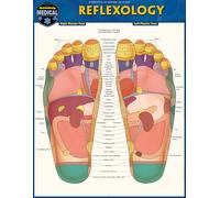 Reflexology: A Quickstudy Laminated Reference Guide