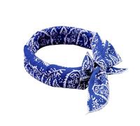 Refreshing Bandana for Dogs | Breathable and Absorbent Towel - Ice Scarf for Pets | for Puppies and Small Medium Large Dogs, Cats, Domestic Use, Travel,