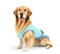Refreshing Jacket for Dogs, Fresh Canine Clothing for Summer - Anti-UV Adjustable Jacket Size S M for Walking, Travel, Beach, Hiking, Outdoors