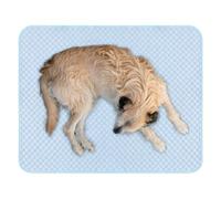 Refreshing Mattress for Dogs, Easy Washable Refreshing Mat for Dogs | Portable Basket Cover Washable Easily Washable Puppies Cats Pets Home Outdoor Indoor