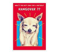 Regal Publishing Humour Funny Birthday Card Hangover cure - 7 x 5 inches