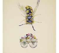 Regal Worm - Neither Use Nor Ornament