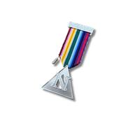 Regalia Store UK Royal Ark Mariner WCN/PCN Breast Jewel - Silver-Plated Triangle Design with Embossed “N” & Multicolor Ribbon | Secure Stickpin | Ideal Masonic Regalia Gift & Ceremony Badge