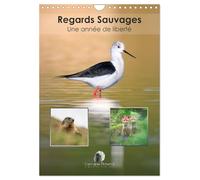 Regards sauvages - Une année de liberté (Calendrier mural 2026 DIN A4 horizontal), CALVENDO calendrier mensuel: Un calendrier captivant qui célèbre, ... des animaux sauvages dans toute leur liberté.