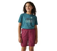 Regatta Alvarado Ix Short Sleeve T-shirt