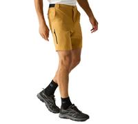 Brown male 32 Regatta Men's Anti insect Travel Light Shorts Brown, Size: 32