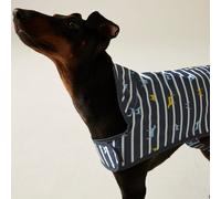 Regatta Waterproof Navy Blue Arlo Dog Coat, Size: L