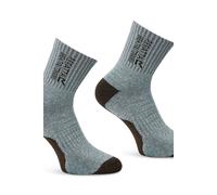 Regatta Bamboo 2 Pack Thermo-Regulated Socks in Grey | Size: 3-5 Regatta Grey 3-5