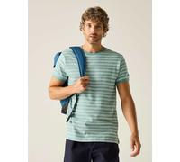 Regatta Benlin Pure Cotton Striped T-Shirt Green