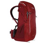Regatta Blackfell III 35L Rucksack (One Size) (Delhi Red/Light Steel)