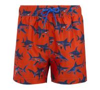 Regatta Boys Skander Shark Swim Shorts - Rusty Orange - 7-8 Years - Rusty Orange - 100% Recycled Polyester