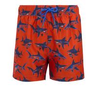 Regatta Boys Skander Shark Swim Shorts (Rusty Orange) - Size 14Y