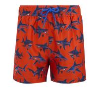 Regatta Boys Skander Shark Swim Shorts