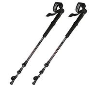 Regatta Carbon Walking Pole Pair