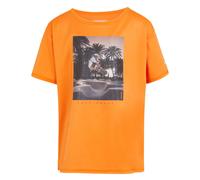 Regatta Childrens/Kids Alvardo VIII Skateboard T-Shirt