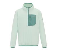Regatta Childrens/Kids Frankie Half Zip Fleece Top RG12598