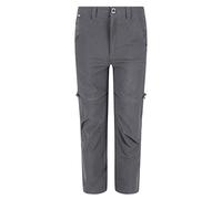 Regatta Childrens/Kids Highton Stretch Zip-Off Walking Trousers (9-10 Years) (Seal Grey)