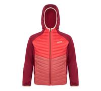 Regatta Childrens/Kids Kielder VIII Hybrid Jacket - Rumba Red/Red Sky - 13 Years - Rumba Red/Red Sky