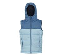 Regatta Childrens/Kids Lofthouse II Gilet - Coronet Blue/Clear Sky - Coronet Blue/Clear Sky - 3-4 Years