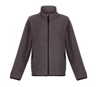 Regatta Childrens Unisex Childrens/Kids Microfleece Full Zip Fleece Jacket (Seal Grey) - Size 13-14Y