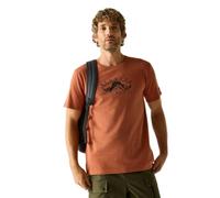Red male M Regatta Men's Cline IX T-Shirt Red, Size: M