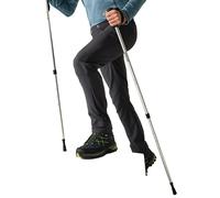 Softshell Trousers Regatta Geo Gris 44 Tall