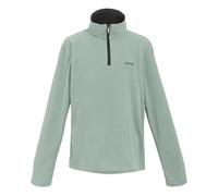 Regatta Great Outdoors Mens Thompson Half Zip Fleece Top (3XL) (Glacier)