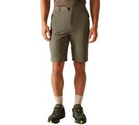Regatta Highton Ii Shorts