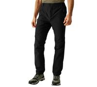 Hiking Trousers Regatta Highton Winter 42 Short