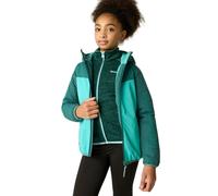 Waterproof jacket for children Regatta Illuma Vert 3/4 ans
