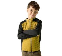 Regatta Unisex Kids Junior Andreson Hybrid Quilted Jacket Water Repellent Coat 11-12 Yrs Black/Wood Brown