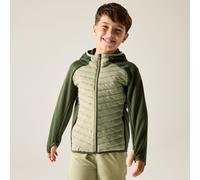 Regatta Junior Andreson Hybrid Jacket Green, Size: 11-12 Years