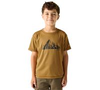 Regatta Kids Alvarado Short Sleeved Wicking T-Shirt