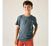 Kid's cotton T-shirt Regatta Bosley Gris 9/10 ans