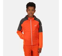 Regatta Kids Kielder Hybrid VI Softshell Hybrid Jacket