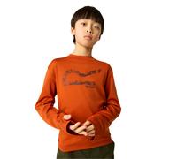 Regatta Kids Unisex Childrens/Kids Alvarado Big Logo T-Shirt (Rooibos Tea) - Red