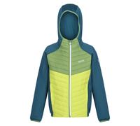 Regatta Kids Unisex Childrens/Kids Kielder VIII Hybrid Jacket (Moroccan Blue/Piquant Green/Citron Lime) - Size 14Y