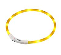 Regatta LED Dog Collar, perfect for Walking & Outdoors