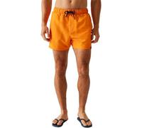 Regatta Mawson III Mens Swim Shorts