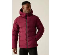 Regatta Men's Jacket Altoro Thermal – Waterproof, Windproof, Padded – Maroon 2XL