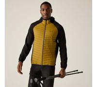 Regatta Men's Andreson Hybrid Insulated Quilted Jacket in Mustard | Size: 3XL Regatta Mustard 3XL