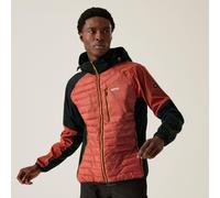Regatta Men's Water Repellent Pro Hybrid Jacket Red Ochre Black, Size: XL