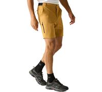 Blue male 40 Regatta Men's Anti insect Travel Light Shorts Blue, Size: 40