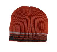 Regatta Mens Balton IV Striped Beanie (One Size) (Burnt Henna)