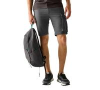 Regatta Bendrick Shorts Grey 44 Men